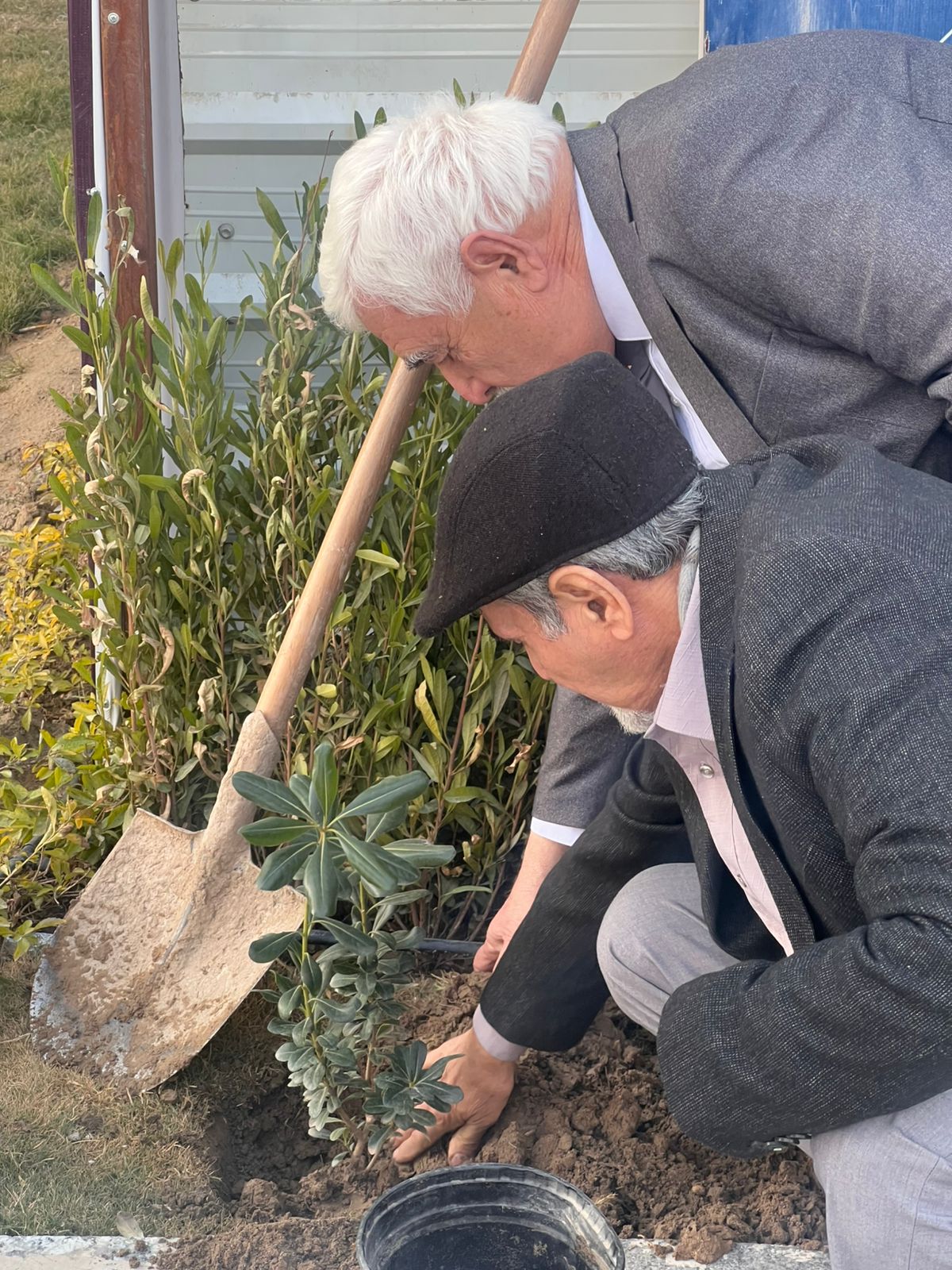 WhatsApp Image 2026 01 17 at 5.20.54 PM (3)